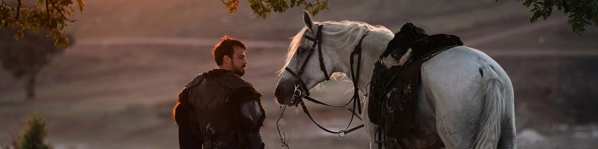 Обложка Основание Орхан