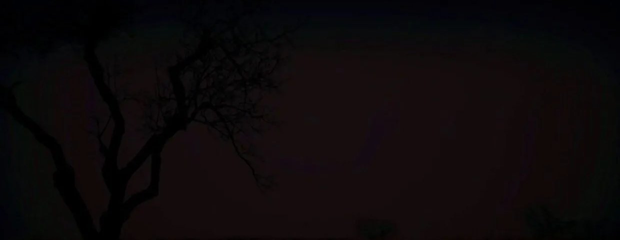 Обложка Шторм ласточки