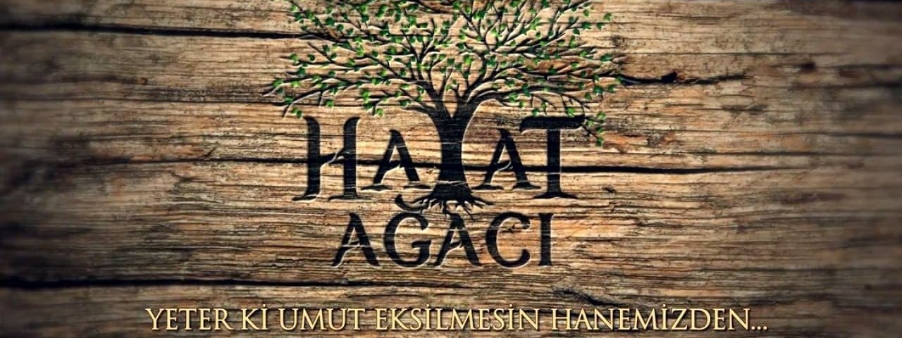 Обложка Дерево жизни