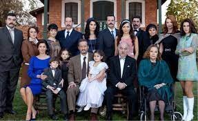 Обложка Tozlu Yollar