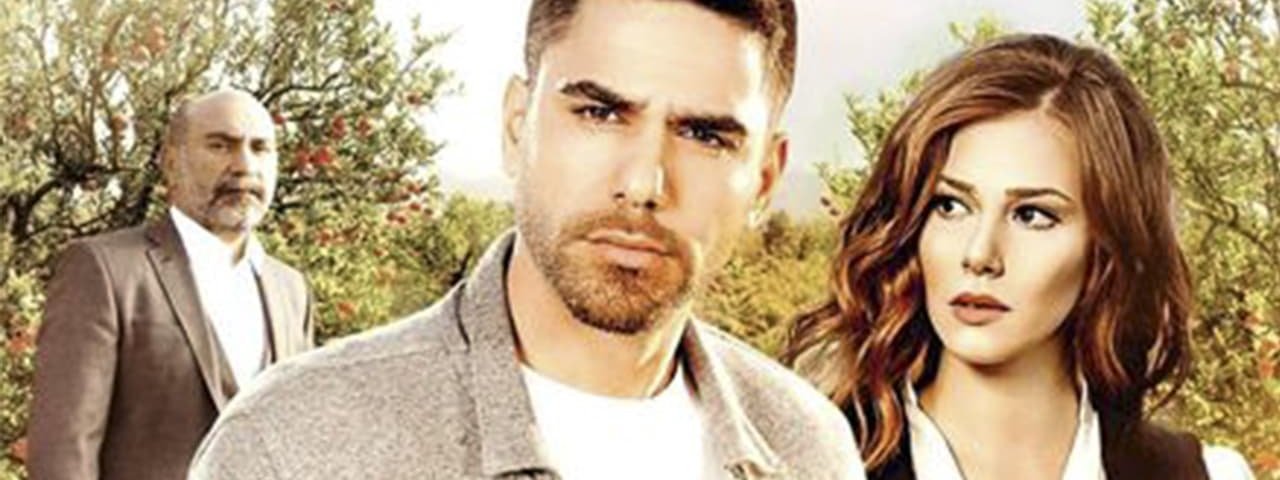 Обложка Любовь моя, Алабора