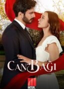 Струны любви