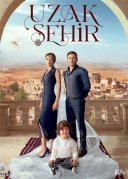 Далёкий город